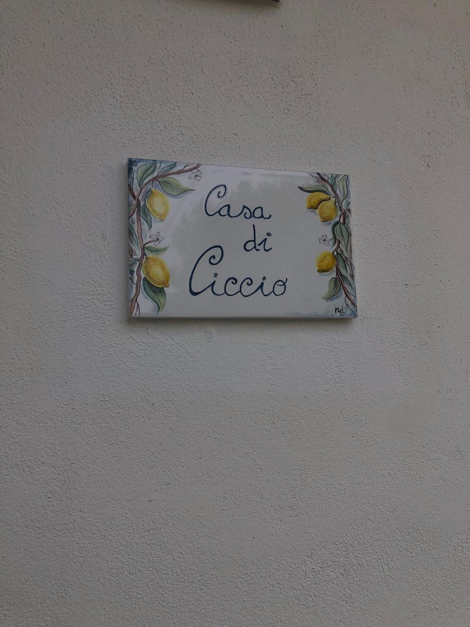 Villa Giardino Degli Oleandri Palinuro Esterno foto