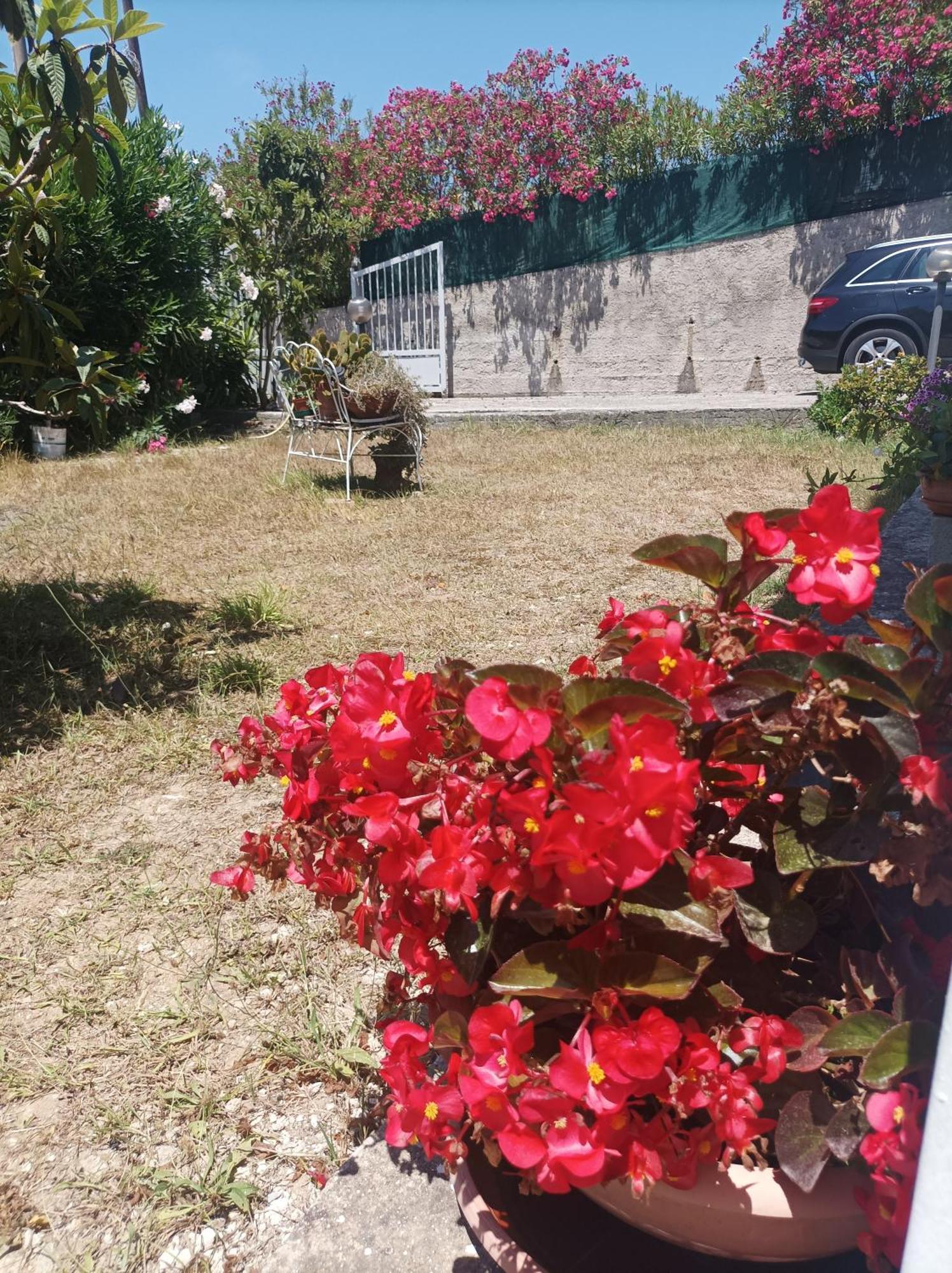 Villa Giardino Degli Oleandri Palinuro Esterno foto