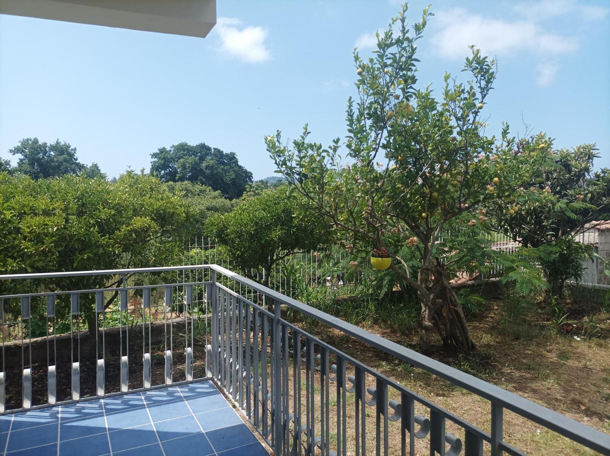 Villa Giardino Degli Oleandri Palinuro Esterno foto