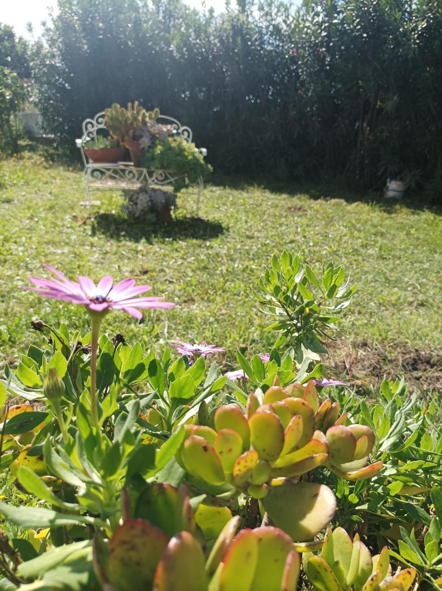 Villa Giardino Degli Oleandri Palinuro Esterno foto