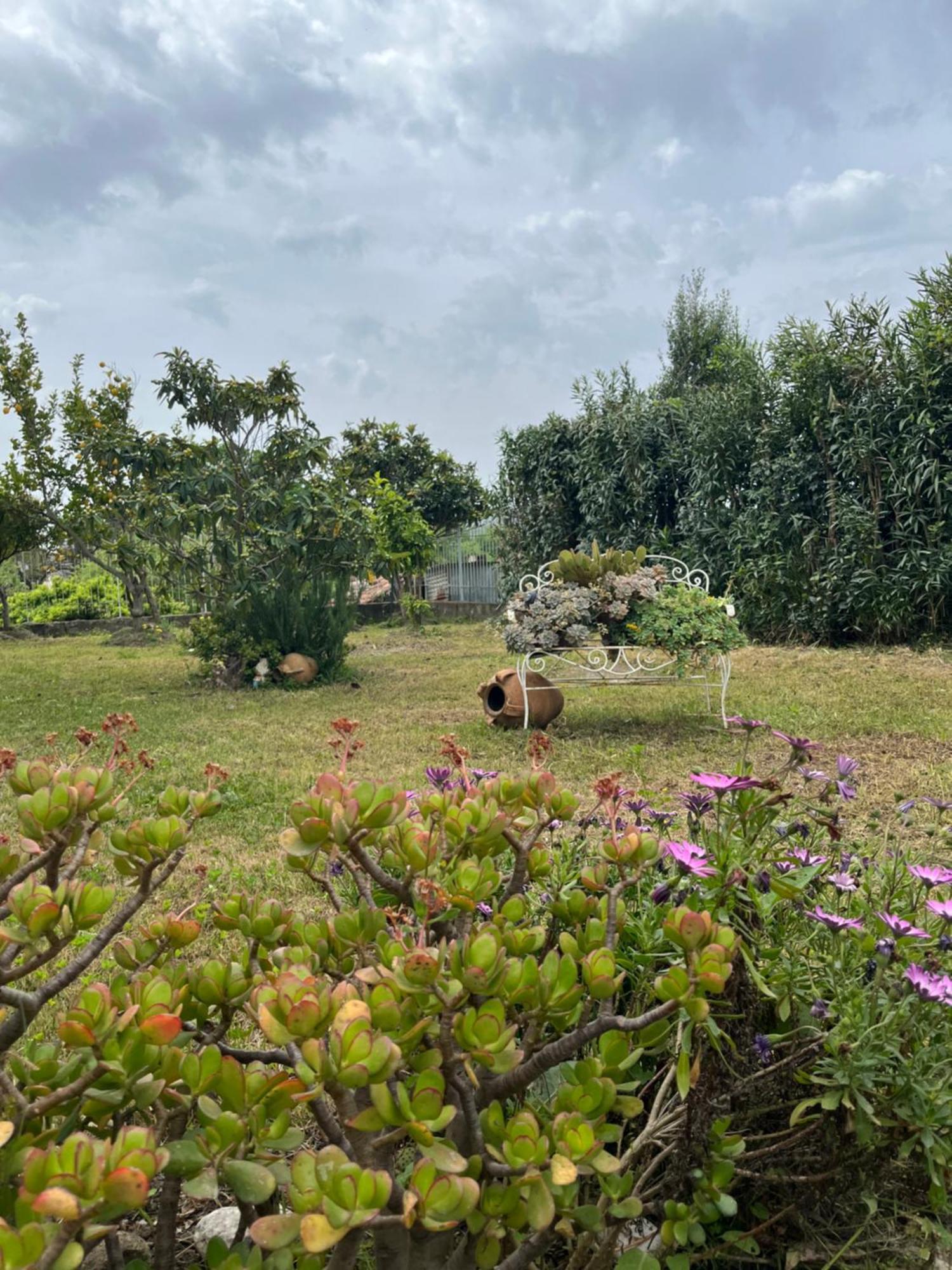 Villa Giardino Degli Oleandri Palinuro Esterno foto